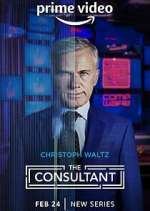 Watch The Consultant Projectfreetv
