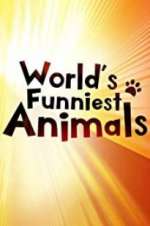 the world\'s funniest animals tv poster