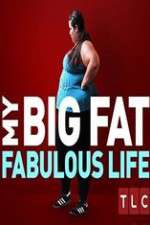 my big fat fabulous life tv poster