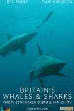 britain's whales and sharks tv poster