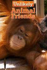 Watch Unlikely Animal Friends Projectfreetv