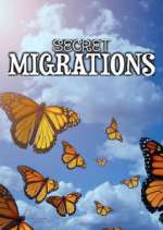 secret migrations tv poster