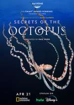 Watch Projectfreetv Secrets of the Octopus Online