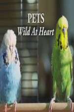 Watch Pets - Wild at Heart Projectfreetv