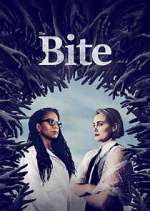 the bite tv poster