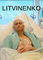 litvinenko tv poster