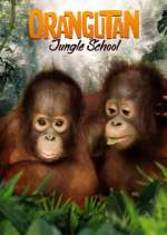 Watch Orangutan Jungle School Projectfreetv