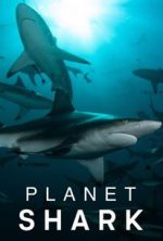 Watch Planet Shark Projectfreetv