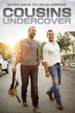 cousins undercover tv poster