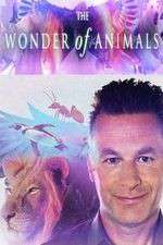 Watch The Wonder of Animals Projectfreetv