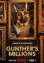 gunther's millions tv poster