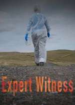 expert witness tv poster
