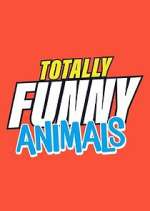 Watch Totally Funny Animals Projectfreetv