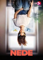 nede tv poster