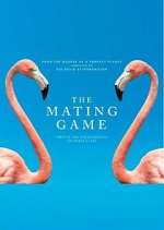 the mating game tv poster