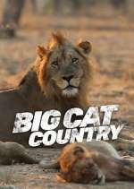 Watch Big Cat Country Projectfreetv