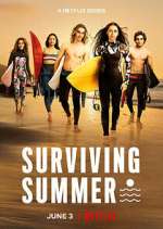 surviving summer tv poster