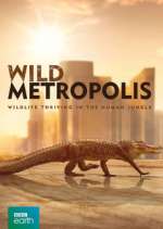 Watch Wild Metropolis Projectfreetv