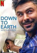 down to earth with zac efron tv poster