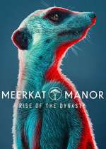 Watch Meerkat Manor: Rise of the Dynasty Projectfreetv