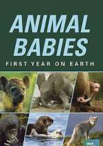animal babies: first year on earth tv poster