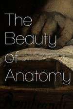 Watch The Beauty of Anatomy Projectfreetv