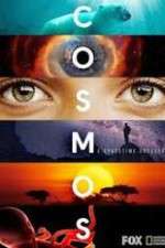 cosmos a spacetime odyssey tv poster