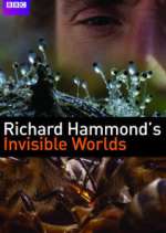 Watch Richard Hammond's Invisible Worlds Projectfreetv