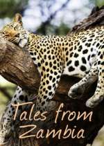 Watch Tales from Zambia Projectfreetv
