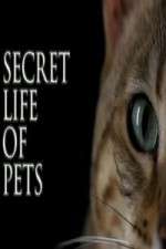 Watch The Secret Life of Pets Projectfreetv