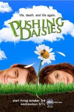 pushing daisies tv poster