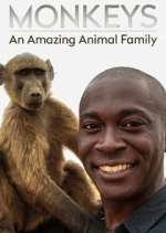 monkeys: an amazing animal family tv poster