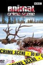 Watch Animal Crime Scene Projectfreetv