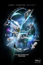 super/natural tv poster