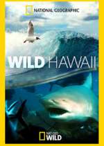 Watch Wild Hawaii Projectfreetv