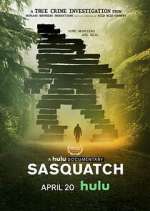 sasquatch tv poster