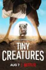 Watch Tiny Creatures Projectfreetv