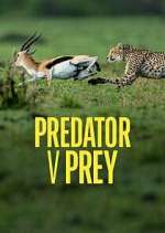 Watch Predator v Prey Projectfreetv
