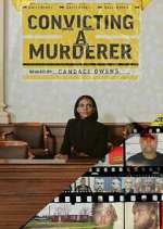 convicting a murderer tv poster