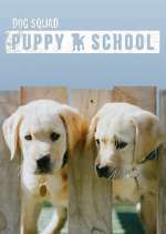Watch Dog Squad: Puppy School Projectfreetv