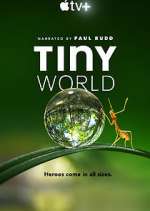 Watch Tiny World Projectfreetv