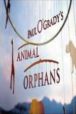 Watch Paul O'Grady's Animal Orphans Projectfreetv