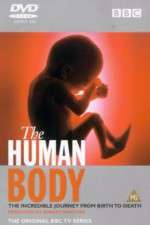 Watch The Human Body Projectfreetv