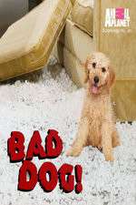 Watch Bad Dog! Projectfreetv