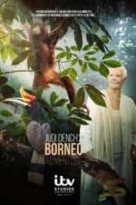 Watch Judi Dench\'s Wild Borneo Adventure Projectfreetv