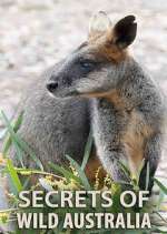 Watch Secrets of Wild Australia Projectfreetv