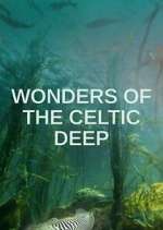 wonders of the celtic deep tv poster