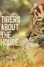 tigers about the house tv poster