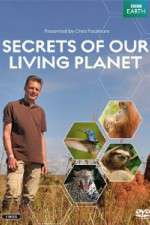 Watch Secrets of Our Living Planet Projectfreetv