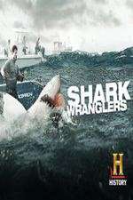 Watch Shark Wranglers Projectfreetv